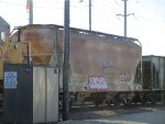 MP 706895